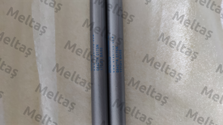 0542TR / 0175N 206/05 G 13 Stabilus