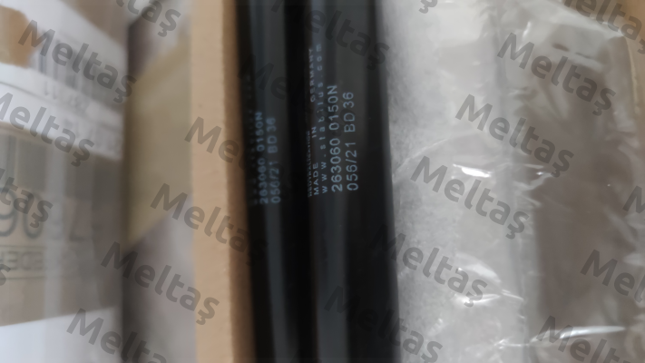 263060 Stabilus