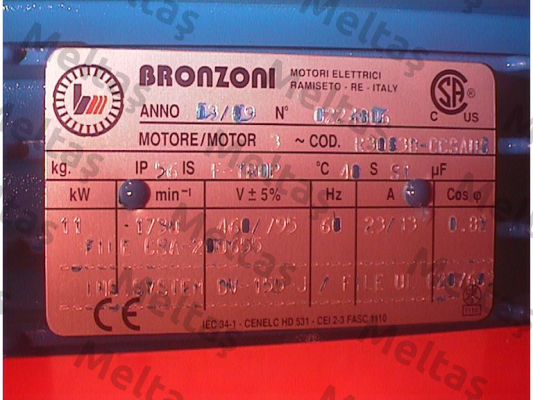 R3083B1300.0001  Bronzoni