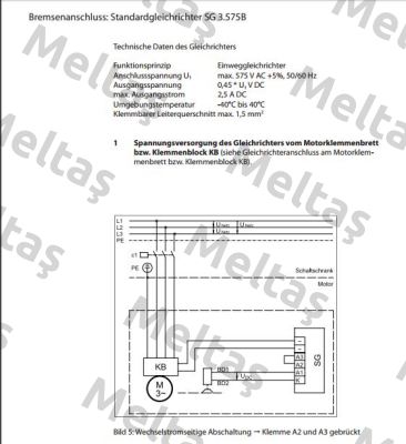 SG 3.575B (BAU2577542) Bauer