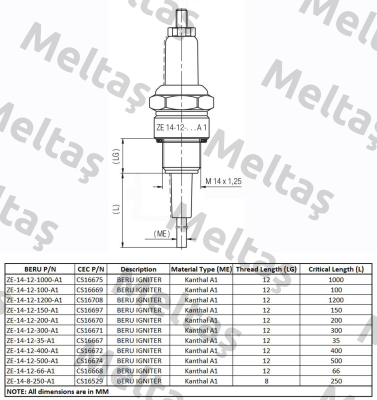 Type ZE 14-12-400 A1 Beru