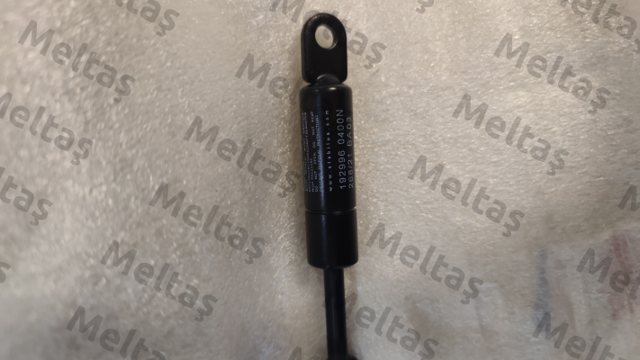 192996 Stabilus