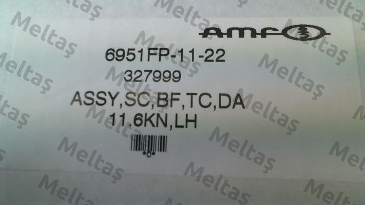 327973 \ 6951FP-11-21 Amf