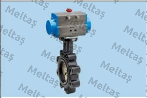 8P021000 DN80 Valbia