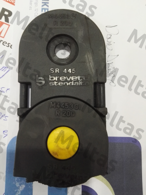 445MU125200 Brevetti