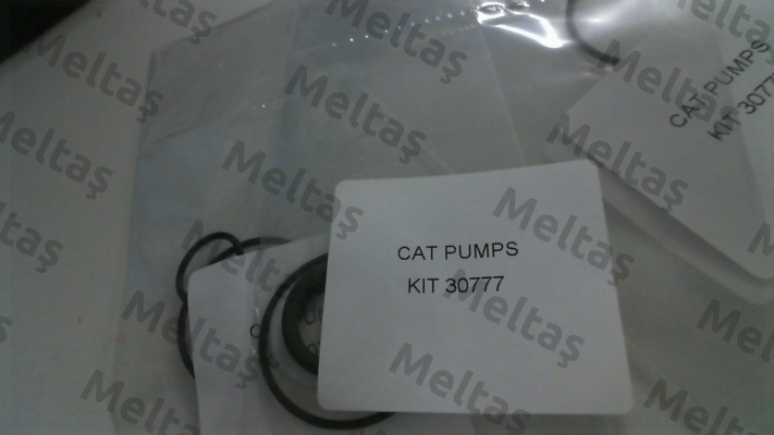 30777 Cat Pumps