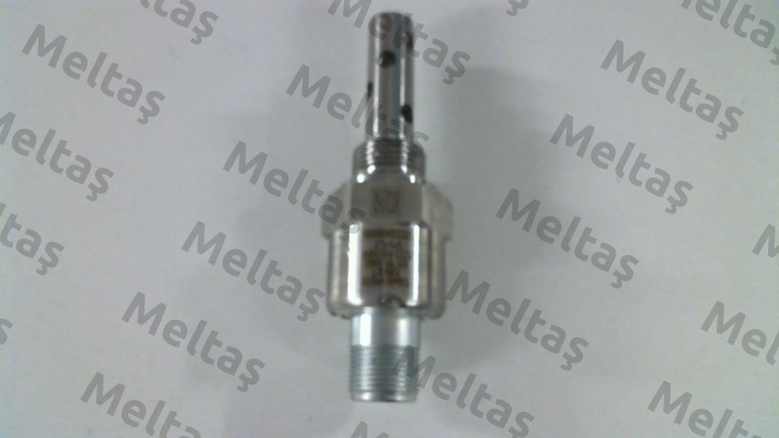 500056 Bedia