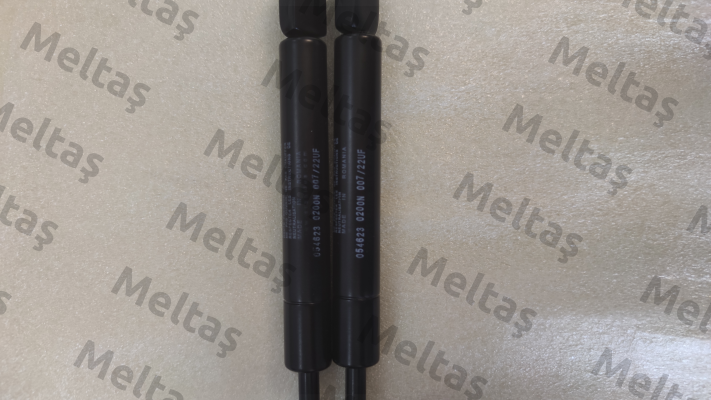 054623 Stabilus