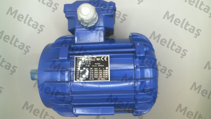 Nr: 1107A002625IE3 Type 3SIEK 71-2A Cantoni