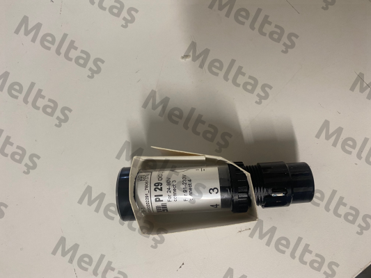 PI 39-1 Weigel