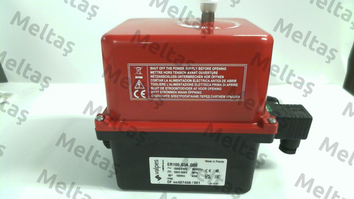 ER100.93A.G00 Valpes