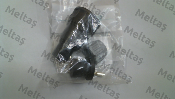 421642 Bedia
