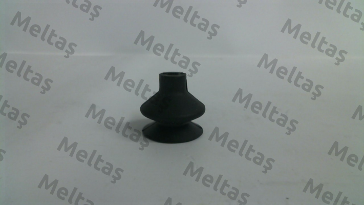 10.01.06.00376 Schmalz