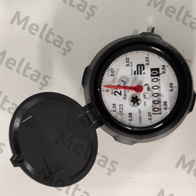 318018 Typ M25 R 100 Liter Badger Meter