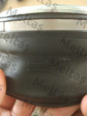 KT 7468/KS 4095 (99.0P373-001) Baelz