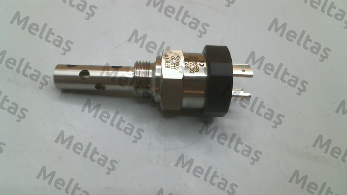 500076 Bedia