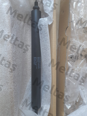 987554 Stabilus