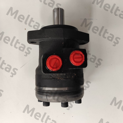 BR-O-050-2A-M08-CL250-N-XXXX-000-X XX-XX / SEM 51005011B31 Brevini