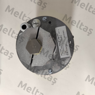 373-E07-20-18-5303 Baelz