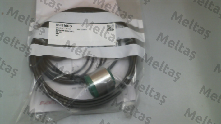 BCE160D Wey Valve