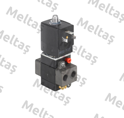 134624 Burkert