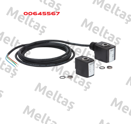 00645567 Burkert