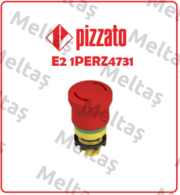 E2 1PERZ4731 Pizzato Elettrica