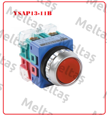 YSAP13-11B YongSung Electric