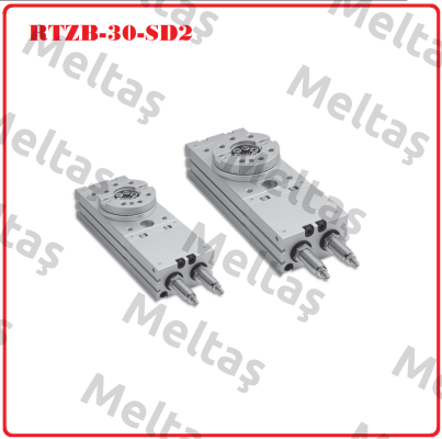 RTZB-30-SD2 Chelic