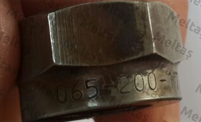 065-200-17  Lechler