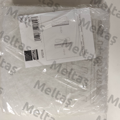 SK 3172.100 Rittal