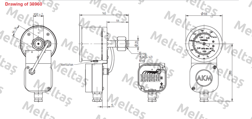 38960-3  Qualitrol