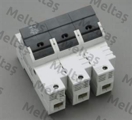 IW31287 Italweber
