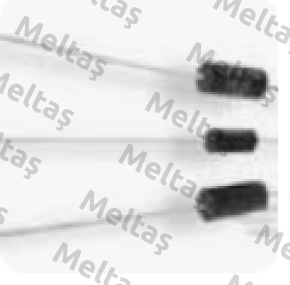 116243234/ UPW50 0.1% 5PPM 500R| TE Connectivity (Tyco Electronics)