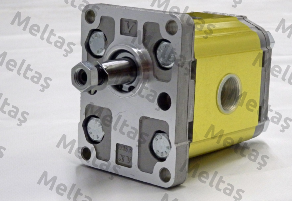 XV-2M/11 cm3/rev X2M4701EBBE Vivoil Oleodinamica Vivolo