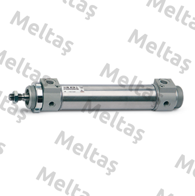 42M2N032A0100 (10-4253-1002) Camozzi