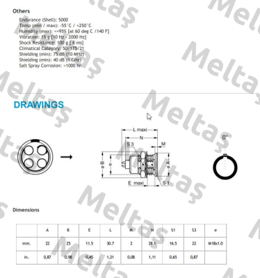 EGG.3B.304.CLL Lemo