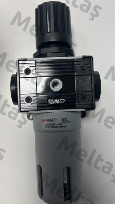 T030307241000 Aignep