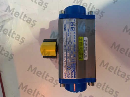 017004 Alpha Pompe