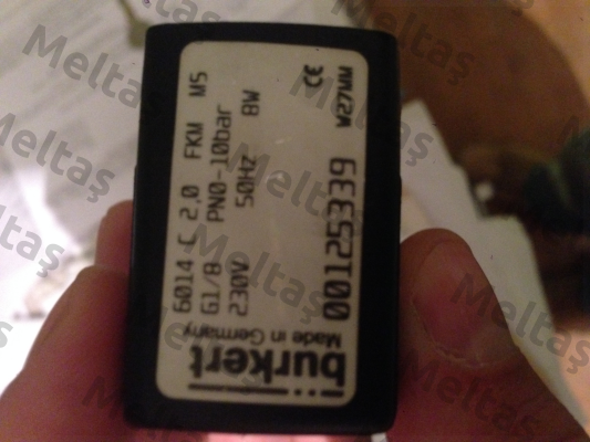 00125339 Burkert
