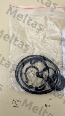 Seal kit for 20C15X006F Caproni