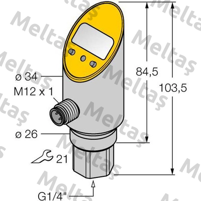 PS025V-301-LUUPN8X-H1141 Turck