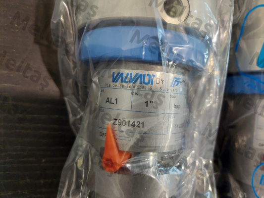 Z901421 Valvaut