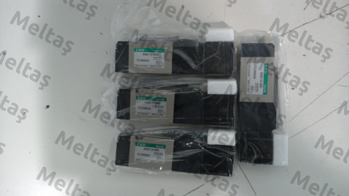 4KB119-00-BRI-FL548504-DC24V Ckd