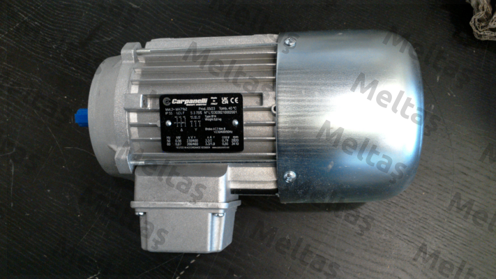 MA71b2 Carpanelli