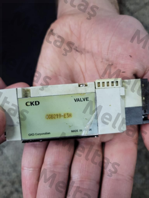 4GB219R-00-E3H-3 Ckd