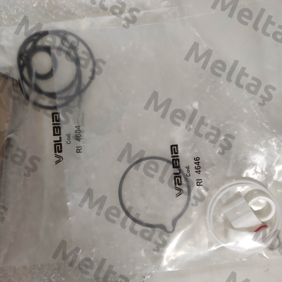 seal and wear part set for Model 63 Valbia