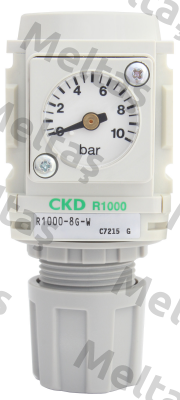 R1000-8G-G3 Ckd