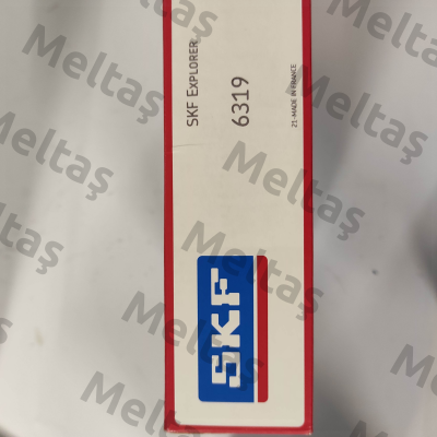 6319 Skf