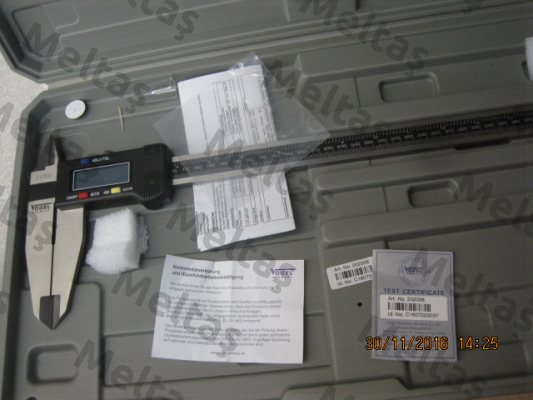 202006 Vogel